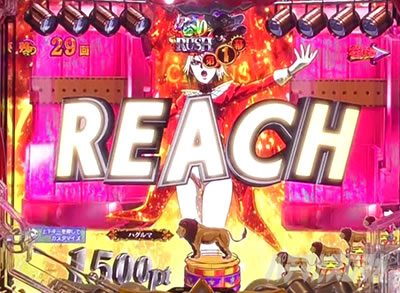 P�t�B�[�o�[���炭��T�[�J�X