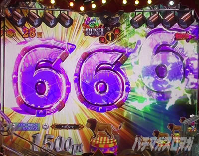 P�t�B�[�o�[���炭��T�[�J�X