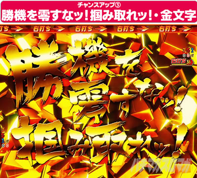 P�t�B�[�o�[��P�⏥�V���t�H�M�A3�����⏥