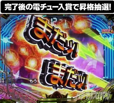 P�t�B�[�o�[��P�⏥�V���t�H�M�A3�����⏥