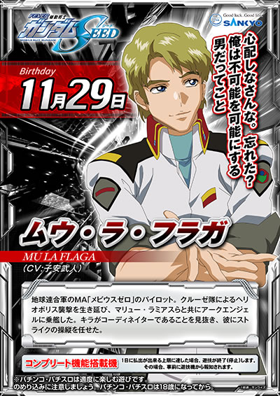 �K���_��SEED �p�`���R�b�o��l�����E�E���E�t���K(�ނ���ӂ炪)�̐��D�͎q�����l