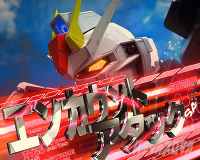 �K���_��SEED �p�`���R�b�G���J�E���g�A�^�b�N��TOTAL�M���x��17.3%