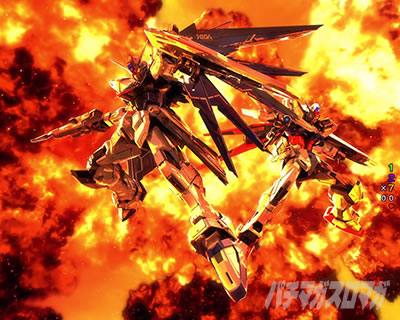 �K���_��SEED �p�`���R�b�K���_�������i�\���͐M���x77.7%