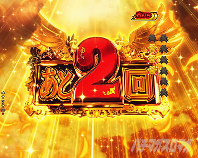 P�t�B�[�o�[�p���t�� 2024 �p�`���R�b10R�哖�� �Z�u������