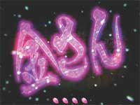 CR�����O���̖���s������