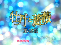 CR���O���K�NRR