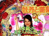 CR���O���K�NRR