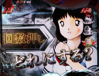 CR�L���v�e���� ��������̌ۓ�