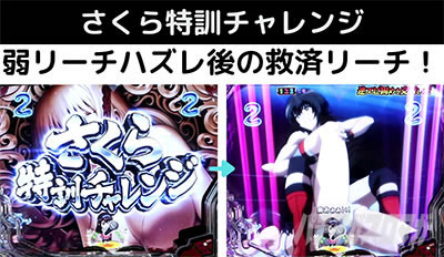 P���E�ł����΂񋭂��Ȃ肽��! W��STARver