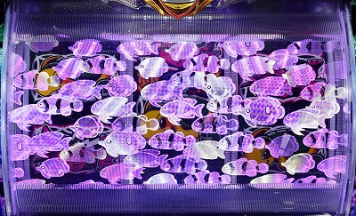 CR�h�����C����99ver.