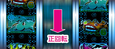 PA�h�����C���� IN ����