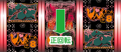 PA�h�����C���� IN ����