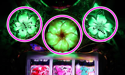 P�h�����C���� IN ����<br>���o�[�W����