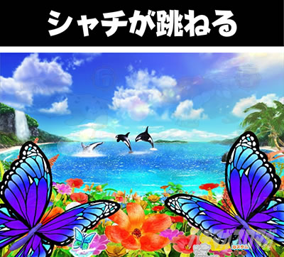 P���j�����A�h�x���`���[ �V���`�����˂�