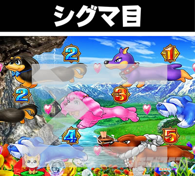 P���j�����A�h�x���`���[ �V�O�}��