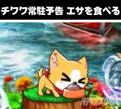 P���j�����A�h�x���`���[ �`�����풓�\���G�T��H�ׂ�