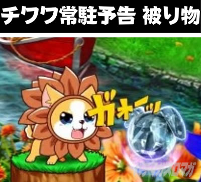 P���j�����A�h�x���`���[ �`�����풓�\����蕨