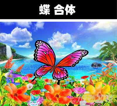 P���j�����A�h�x���`���[ ������