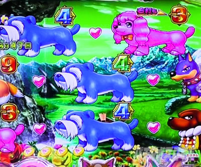 PA�����Z���u���[�V���� �p�`���R�b�A�`�����X��(���i��4)