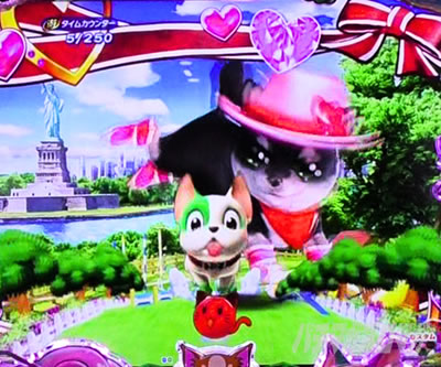 PA�����Z���u���[�V���� �p�`���R�b�B�A�D�ԕۗ�