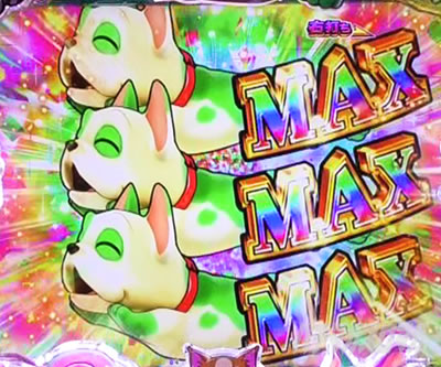 PA�����Z���u���[�V���� �p�`���R�b�@���A:MAX�}��