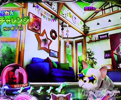 PA�����Z���u���[�V���� �p�`���R�b���[�u���T���O���X��������