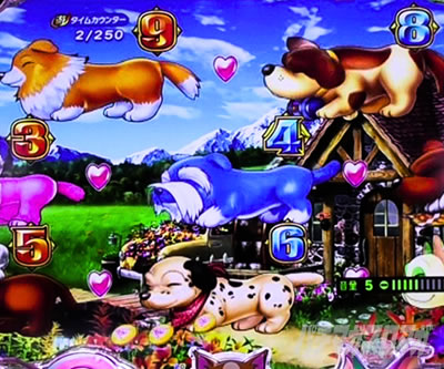 PA�����Z���u���[�V���� �p�`���R�b�u���u��