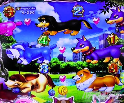 PA�����Z���u���[�V���� �p�`���R�b�x��