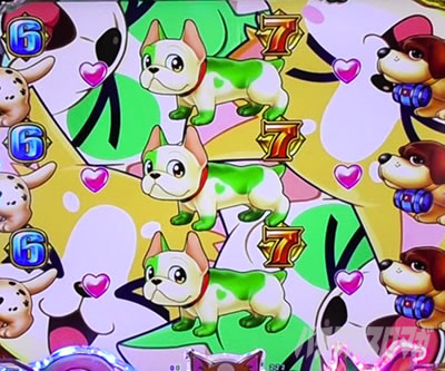 PA�����Z���u���[�V���� �p�`���R�b�Ԃ�Ԃ�h�b�O