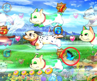 PA�����Z���u���[�V���� �p�`���R�b�˕�SP���[�`