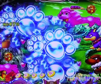 PA�����Z���u���[�V���� �p�`���R�b�`�����X��_1���