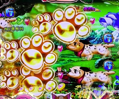 PA�����Z���u���[�V���� �p�`���R�b�`�����X��_2���