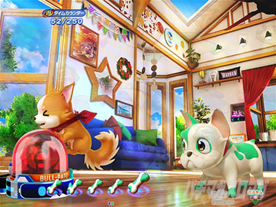 PA�����Z���u���[�V���� �p�`���R�b���{���Q���\��