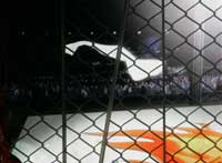 CR�S���`�^�tMSAS/MSA