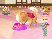 CR������p���_�C�X MSB