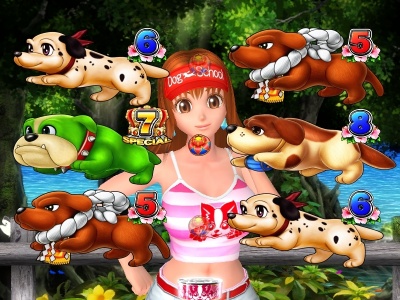 CR�����p���_�C�XIN����