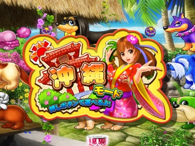 CR�����p���_�C�XIN����