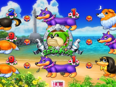 CR�����p���_�C�XIN����