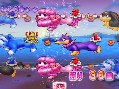 CR�����p���_�C�XIN����