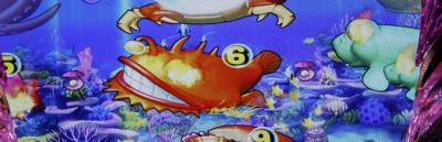 CR�C����A�N�A