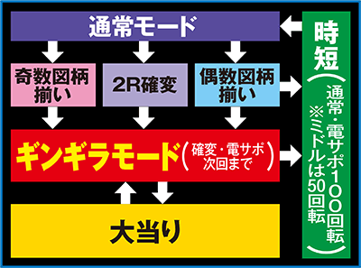 �M���M���p���_�C�X �N�W���b�L�[�ƍ����̍� YMA(�~�h��)