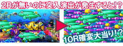 P��C����4�X�y�V����