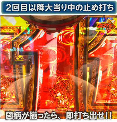 P��H�̌�������ʓV