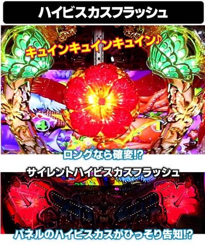 P�X�[�p�[�C���� IN ����5