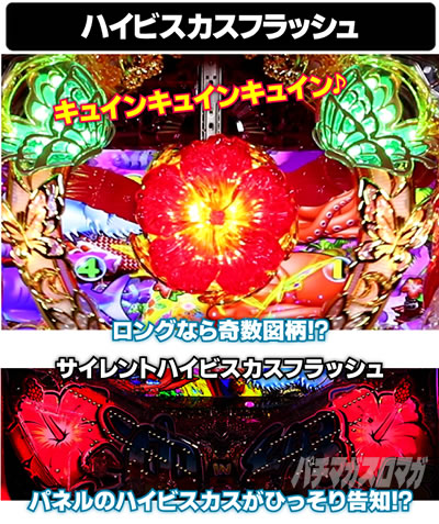 P�X�[�p�[�C���� IN ����5