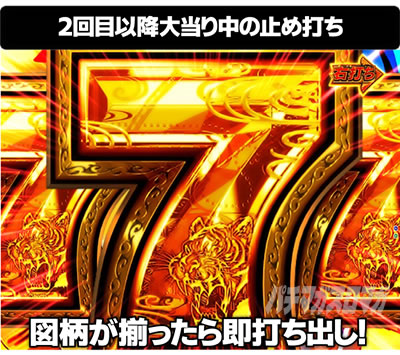 P��H�̌�������ʓV