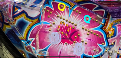 P�X�[�p�[�C����IN����5 ���������