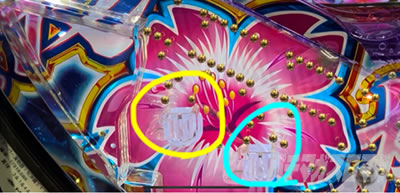 P�X�[�p�[�C����IN����5 ���������