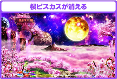 P�X�[�p�[�C����IN����5���������