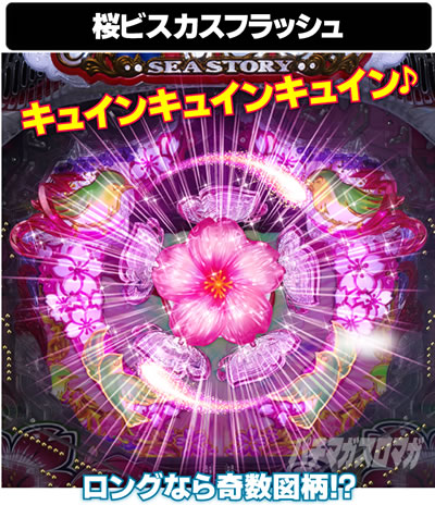 P�X�[�p�[�C����IN����5���������